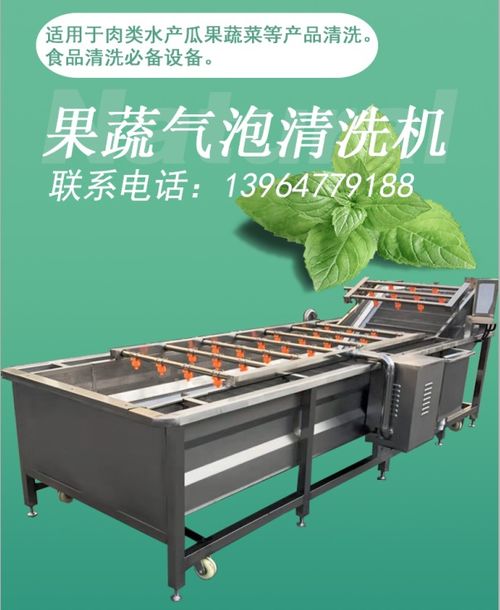 【车厘子清洗生产线樱桃气泡清洗加工设备】-